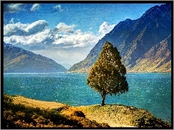 Nowa Zelandia, Góry, Drzewo, Jezioro, Hawea